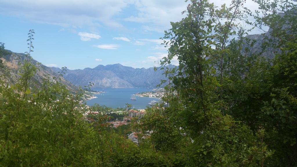 Apartments Panoramic Paradise Kotor Exterior photo